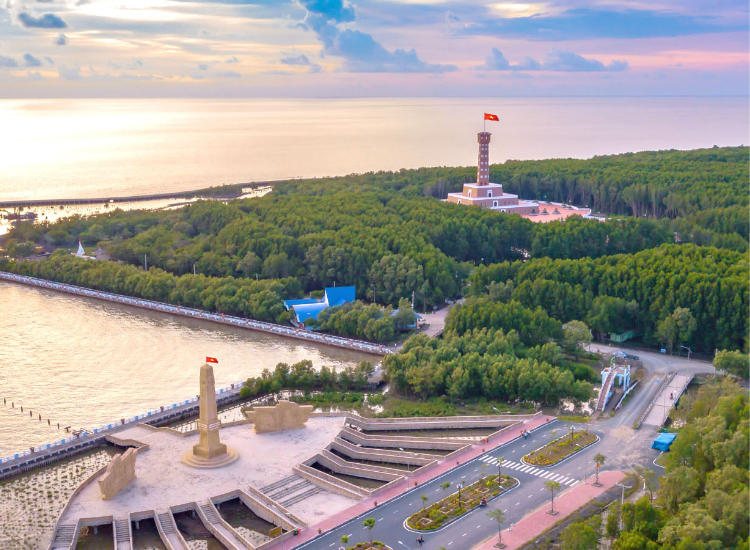 Rừng ngập mặn đặc trưng tại Cà Mau Hệ sinh thái rừng ngập mặn đặc trưng khi tham gia tour du lịch Cà Mau